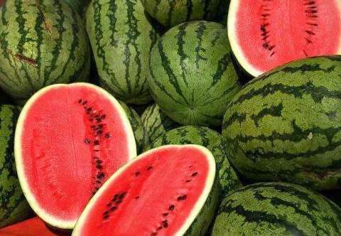 MelonJPG_-_CrQu65_RT480x360-_OS492x332-_RD480x332-.jpg