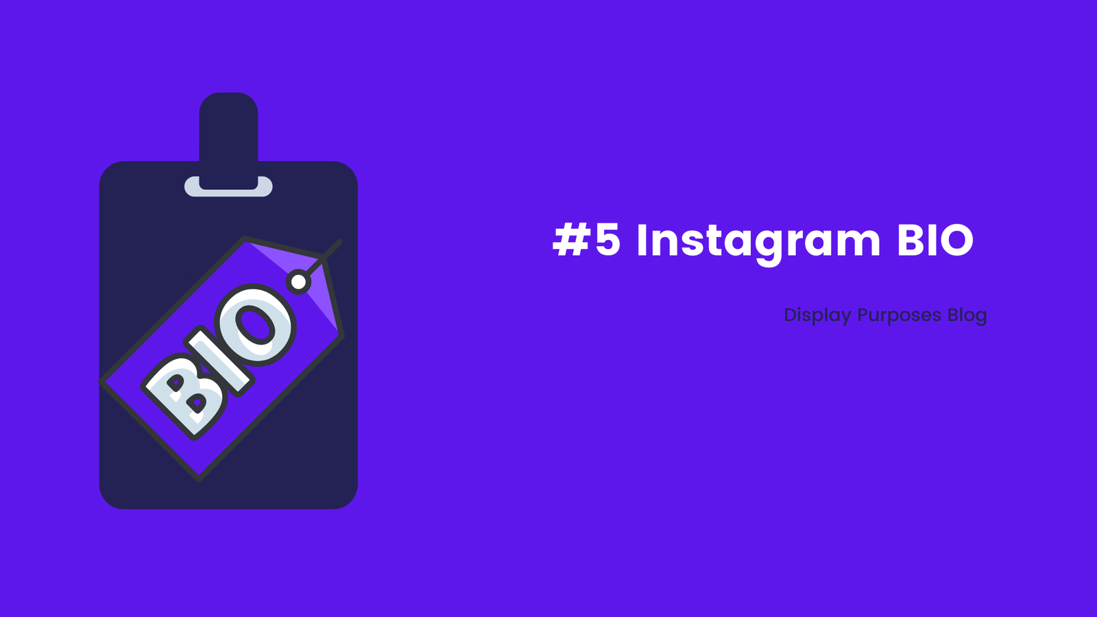 Instagram-BIO-Instagram-Audit.png