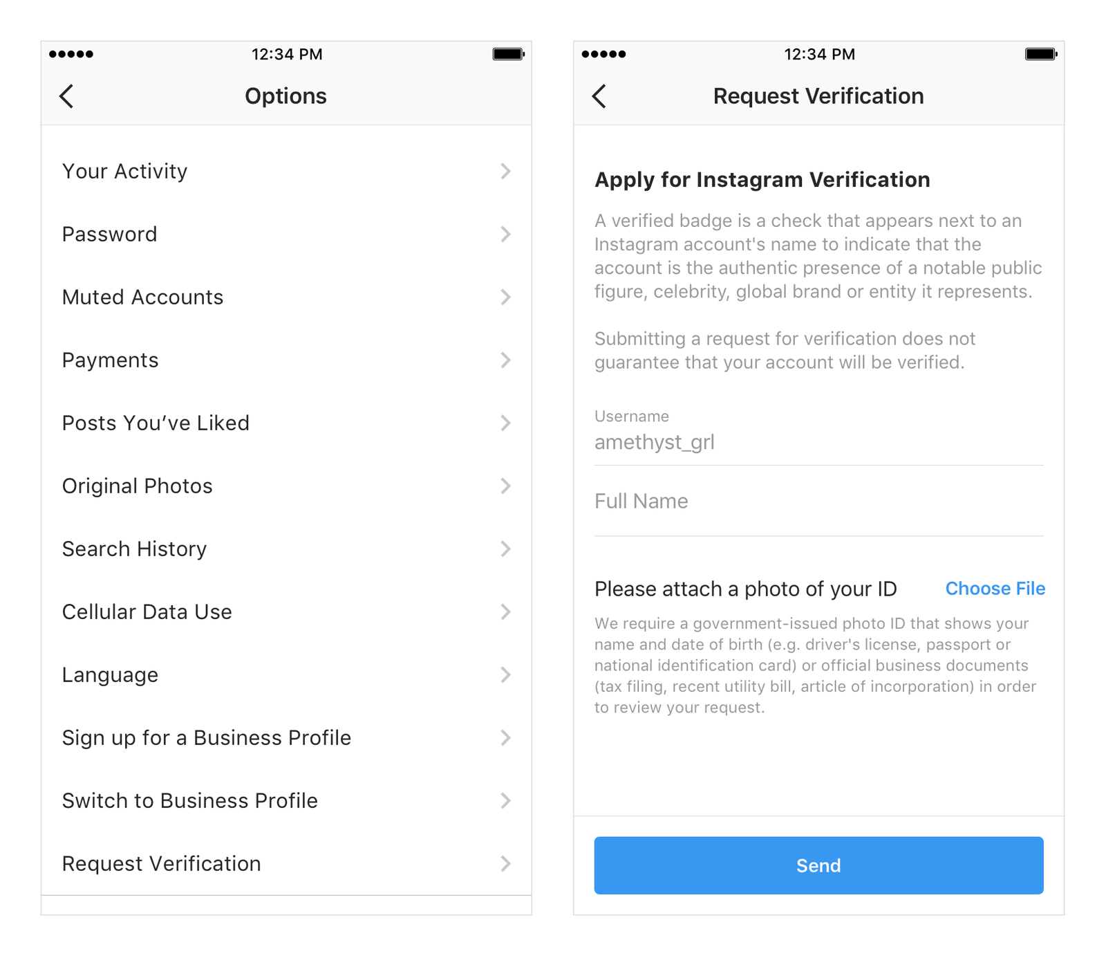 instagram-verification-guide-blue-badge.png