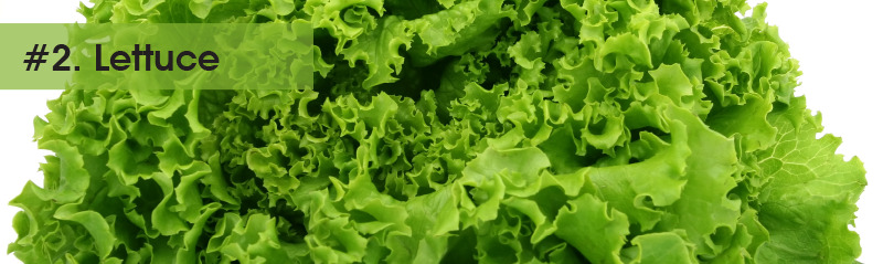 2-Lettuce.jpg