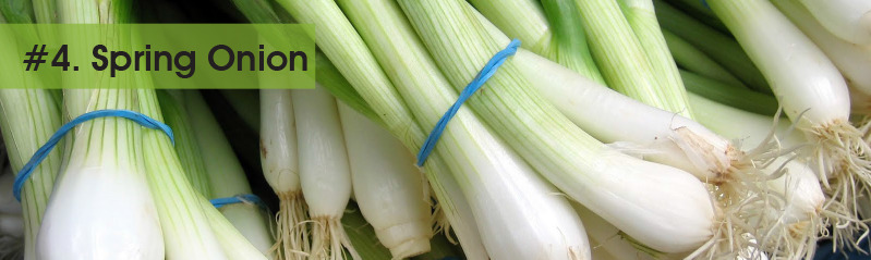 4-Spring-Onion1.jpg
