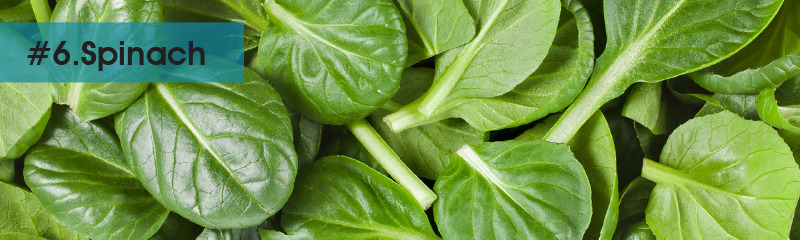 6.-Spinach1.jpg
