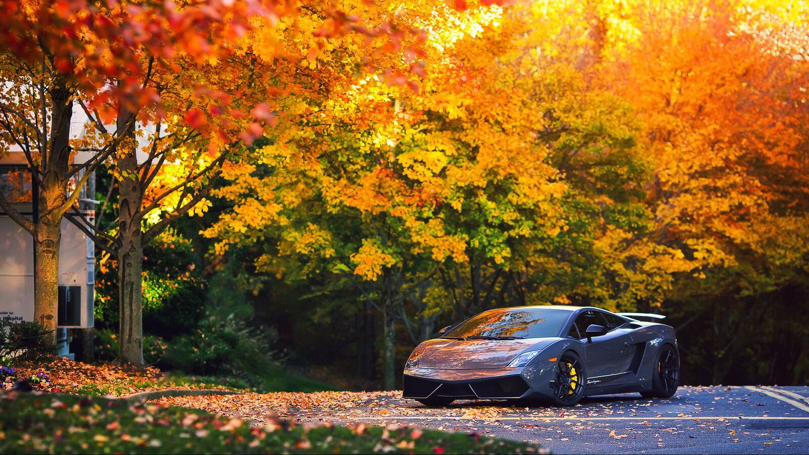 autumn_gallardo_superleggera_lp570_98310_1920x1080.jpg