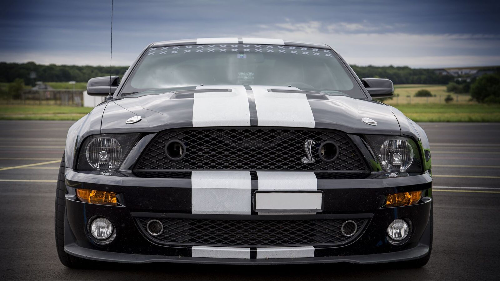 ford_mustang_shelby_car_130659_1920x1080.jpg
