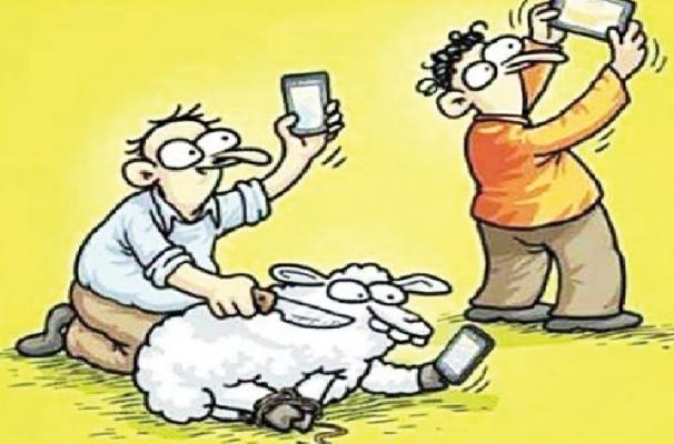 سيلفي والكبش خلفي