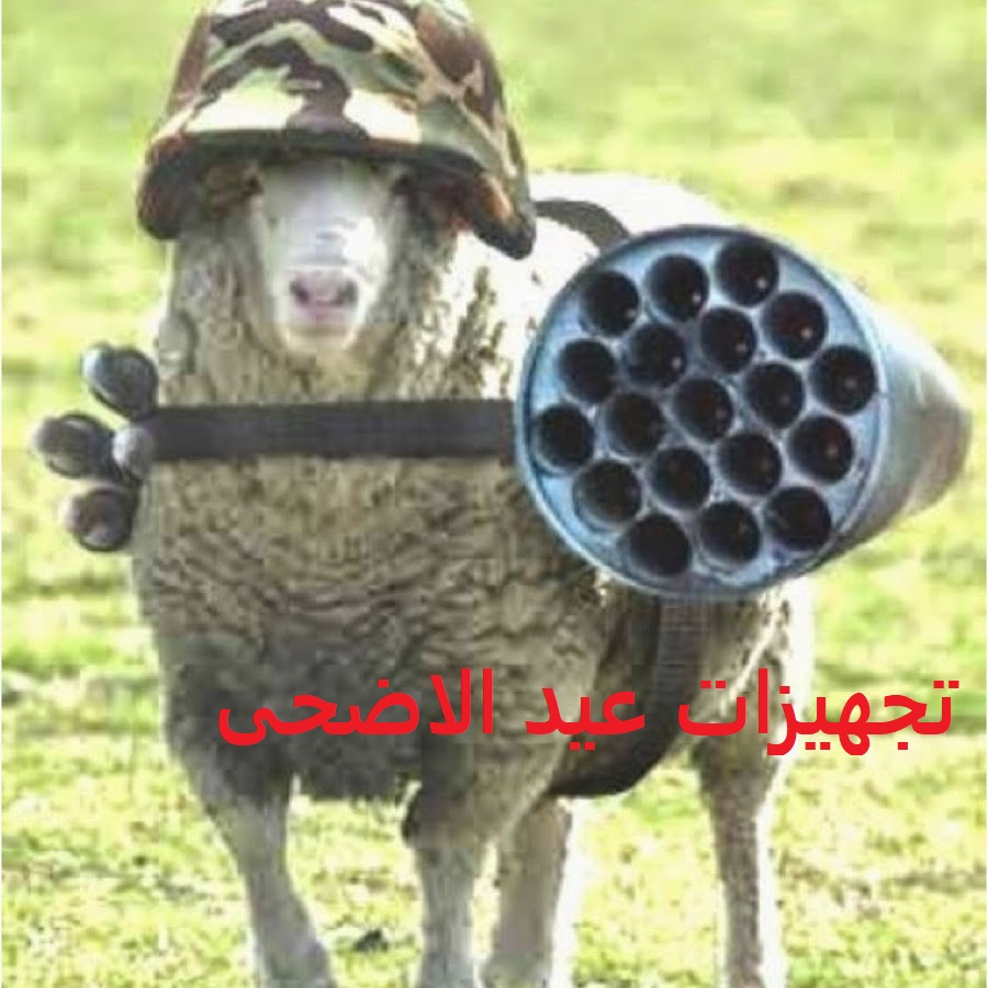 منشورات مضحكة عن عيد الاضحى, صور مضحكة على خروف العيد | صقور الإبدآع