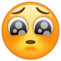 face-with-pleading-eyes_1f97a.jpg