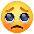 face-with-pleading-eyes_1f97a.jpg