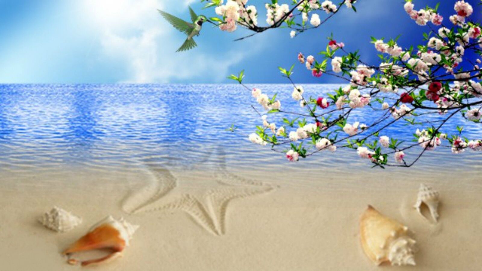 1920x1080 شاطئ: قذائف زهور البحر الأزرق سماء شاطئ الطائر الطنان 3840x1080 