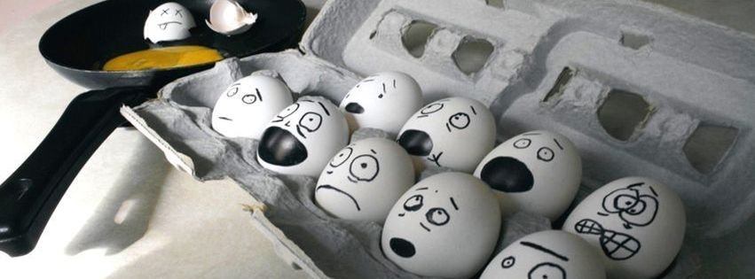 funny%20eggs%20fb%20cover.jpg