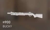 valorant-bucky-gun.jpg