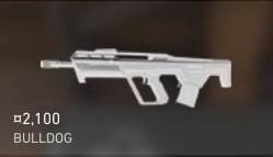 valorant-bulldog-gun.jpg