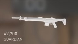 valorant-guardian-gun.jpg