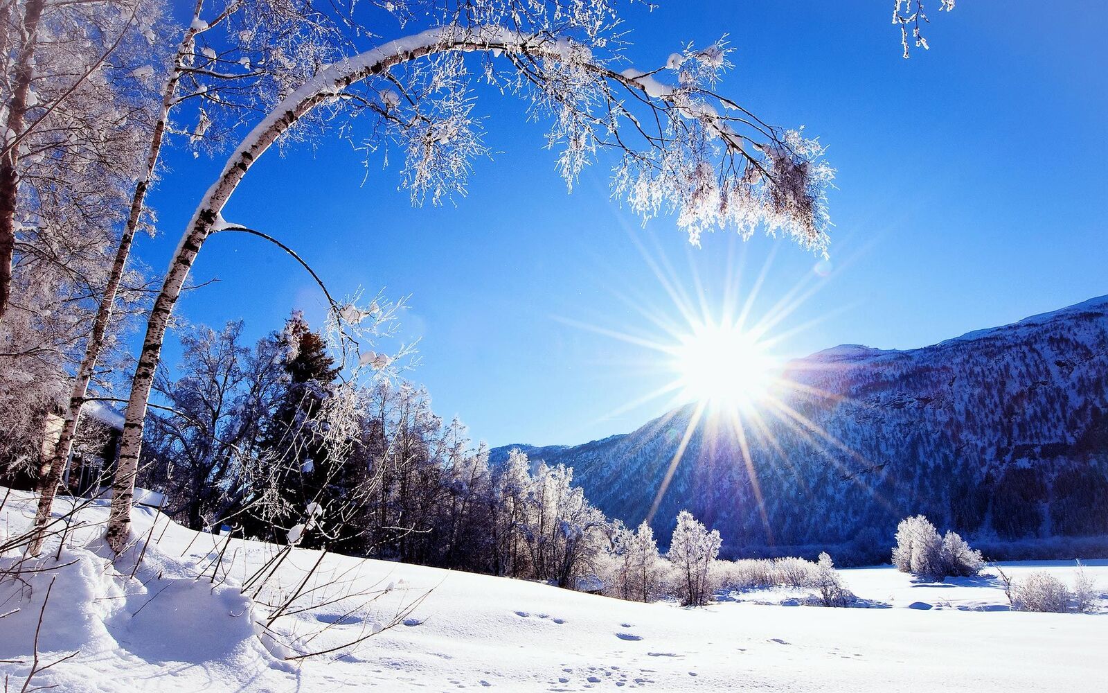 خلفيات الشتاء جميلة , صور الشتاء جذابة , مناظر الشتاء بالصور 2021