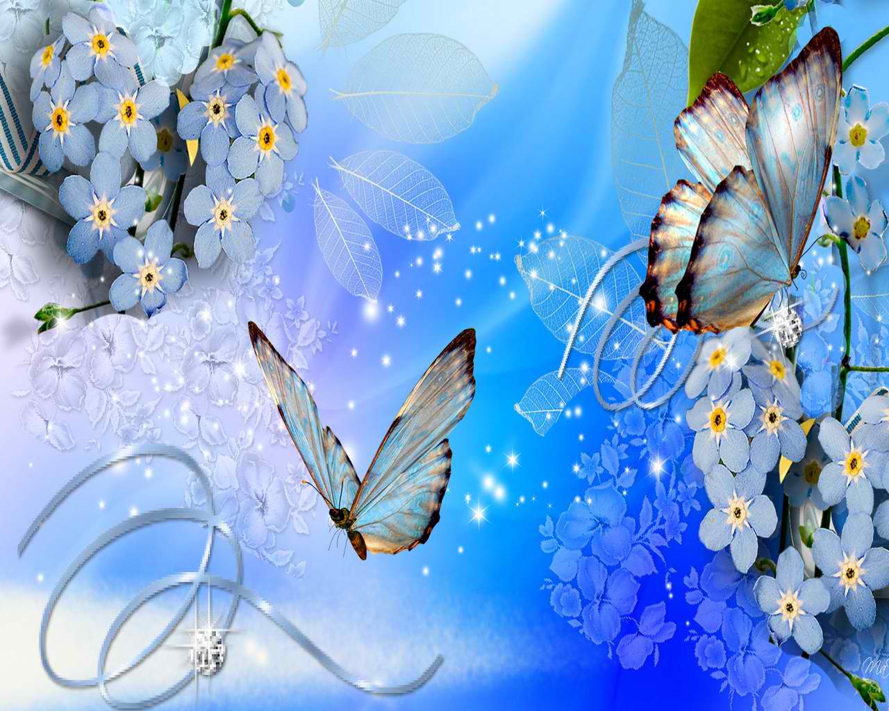 خلفيات الفراشات الملونة , اجمل صور الفراشات المتنوعة , 2021 Butterflies