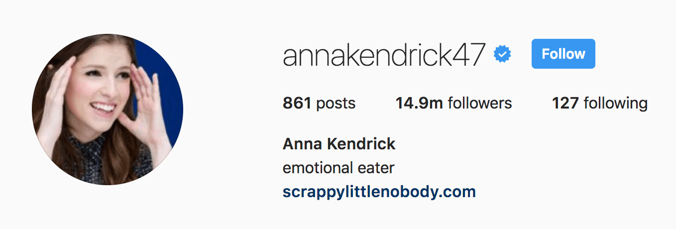 anna-kendrick-funny-instagram-bios.png