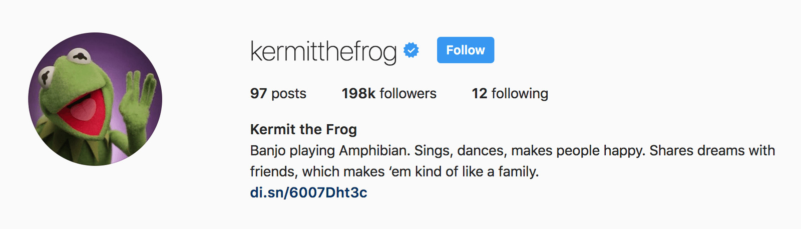 kermit-the-frog-cute-instagram-bios.png