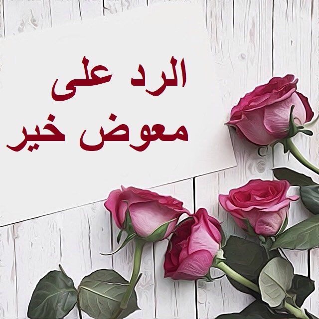 الرد على معوض خير.jpg