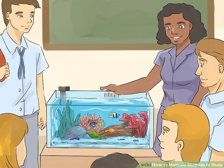 609544-v4-728px-Motivate-Students-to-Study-Step-10.jpg