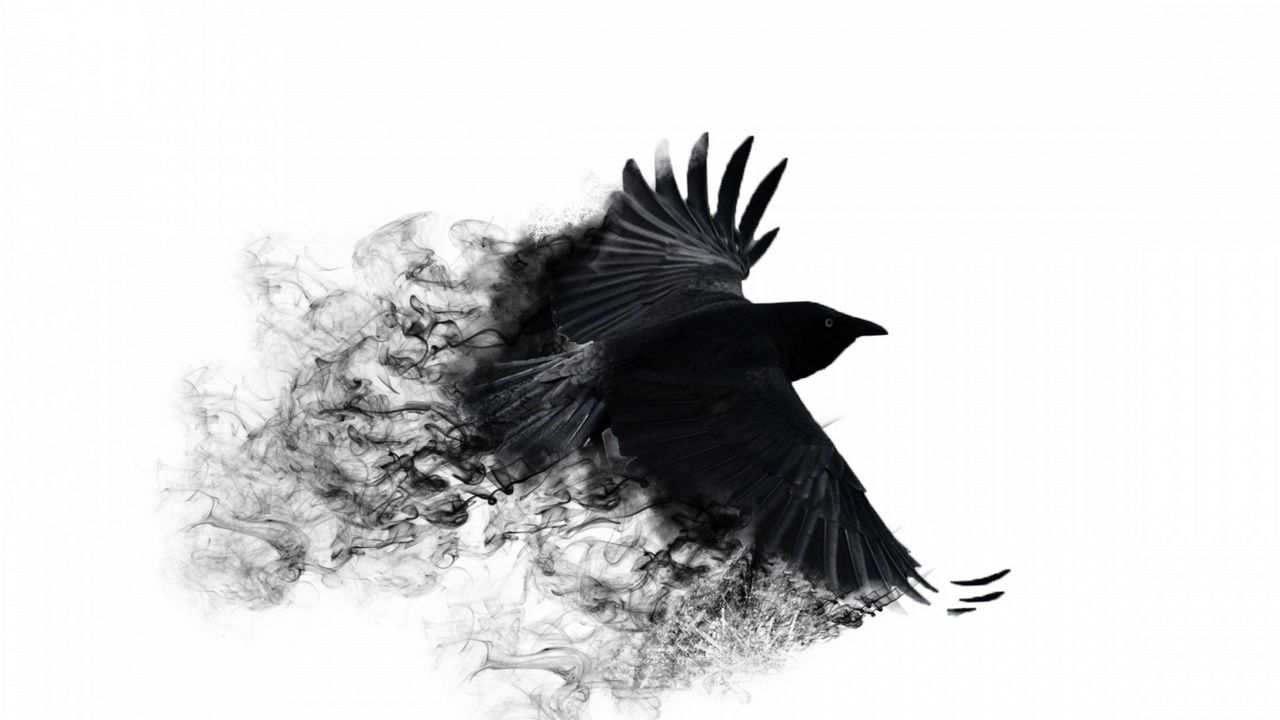 crow_wings_bird_swing_85055_1280x720.jpg