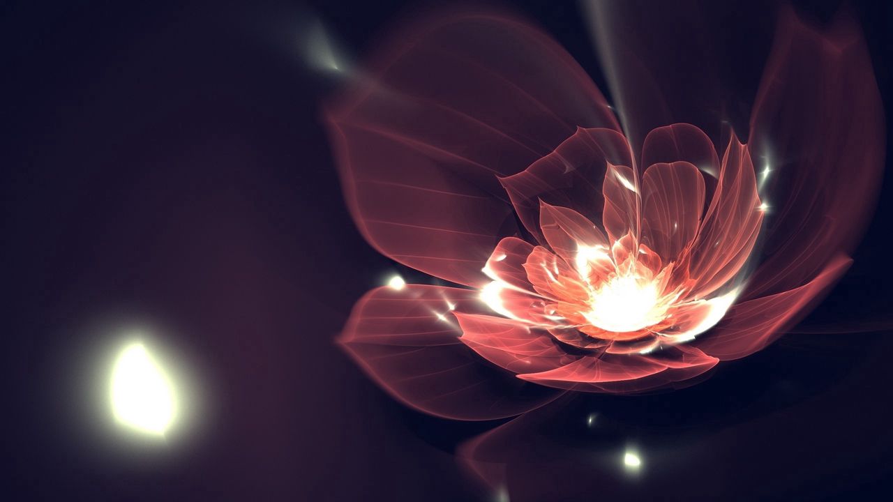 flower_background_dark_lines_shine_61881_1280x720.jpg