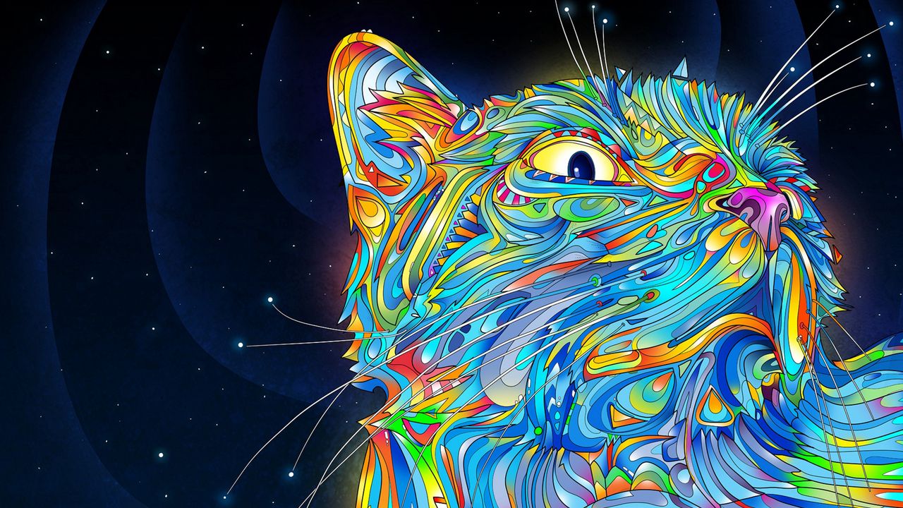 abstraction_vector_cat_colorful_paint_321_1280x720.jpg