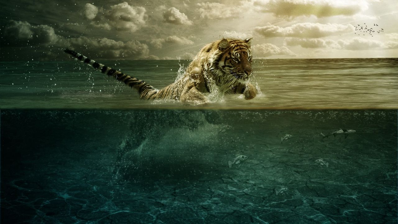 tiger_jump_sea_underwater_hunting_26793_1280x720.jpg