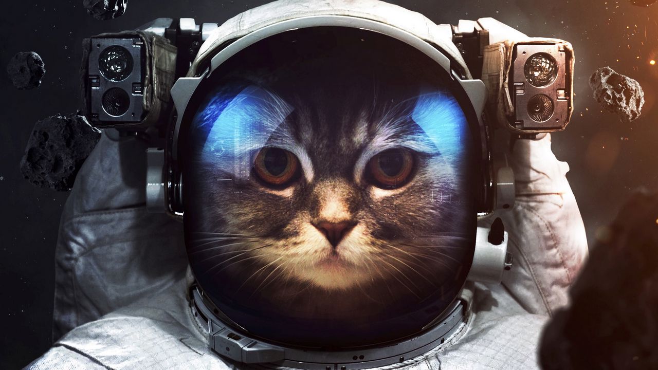 cat_cosmonaut_space_suit_130111_1280x720.jpg
