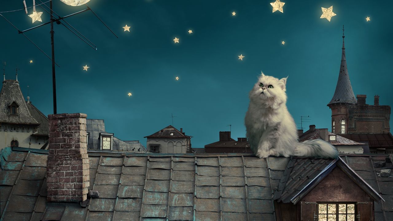 y_roofs_houses_sky_night_stars_moon_77571_1280x720.jpg