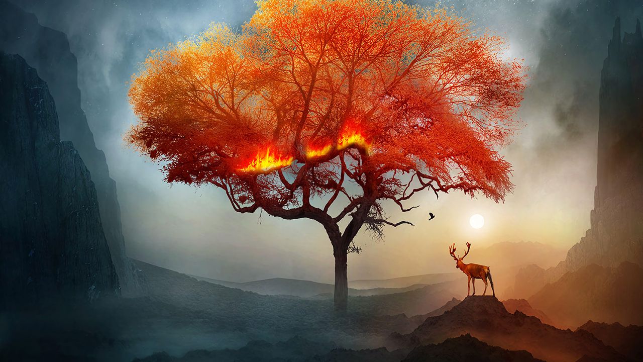 deer_tree_art_131315_1280x720.jpg