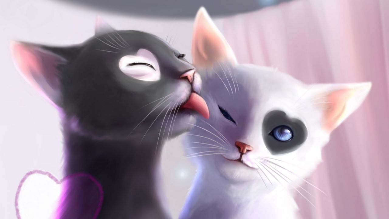 kittens_cats_art_tenderness_96804_1280x720.jpg