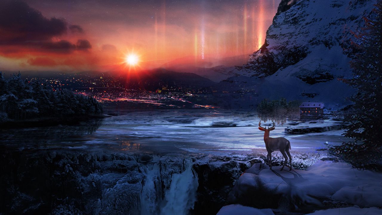 deer_winter_night_129602_1280x720.jpg