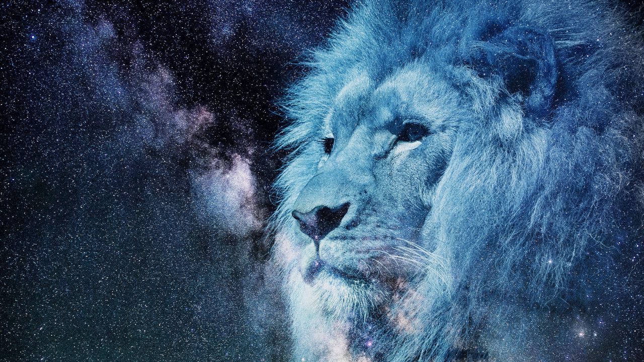 lion_muzzle_starry_sky_122199_1280x720.jpg