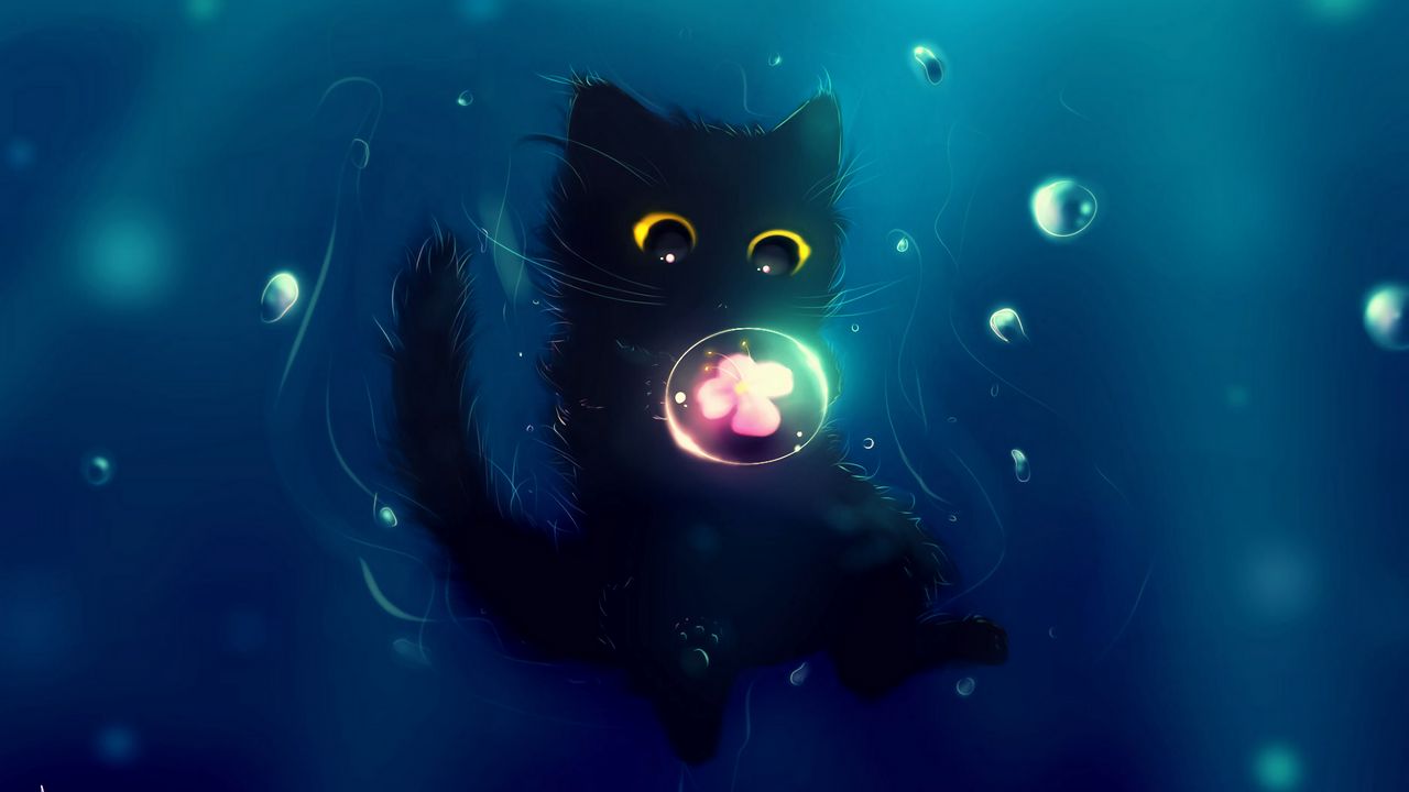 cat_cute_ball_127642_1280x720.jpg