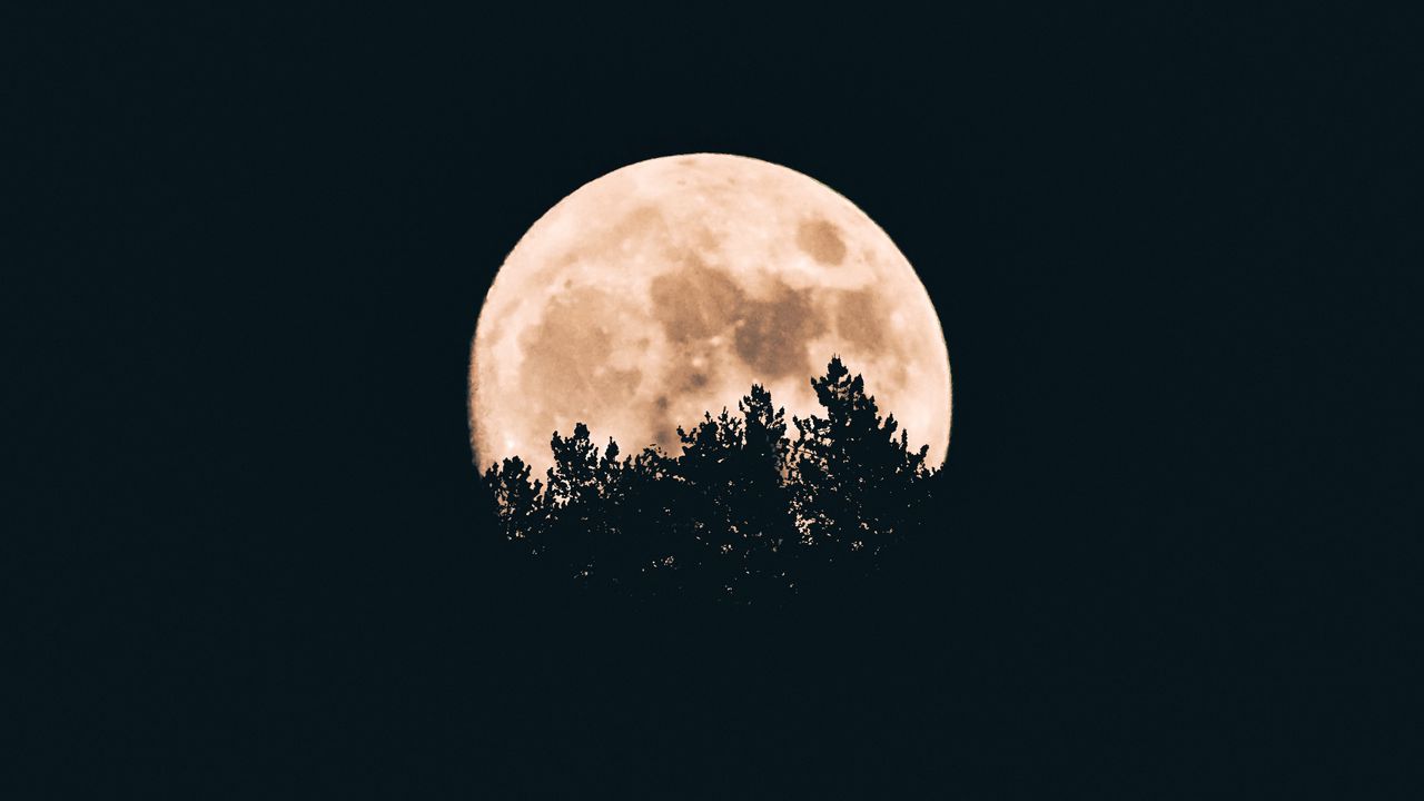 moon_trees_dark_160894_1280x720.jpg