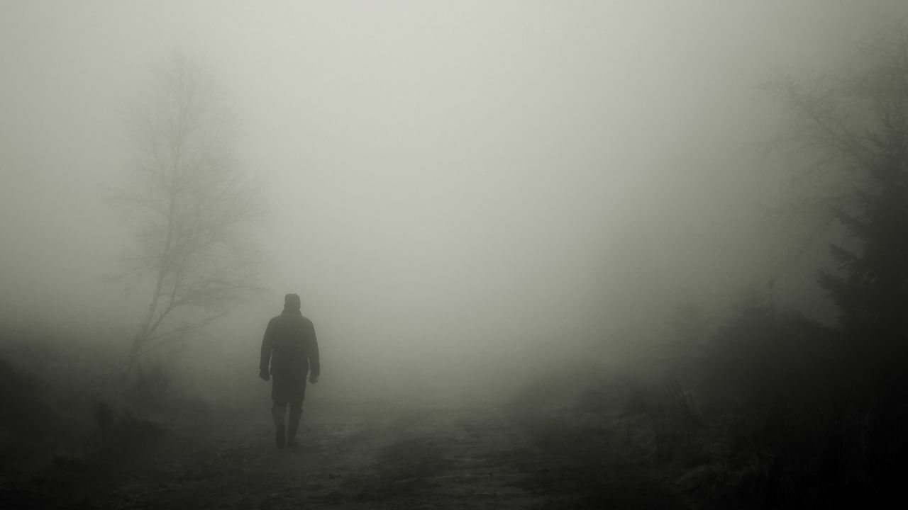 silhouette_fog_loneliness_125988_1280x720.jpg