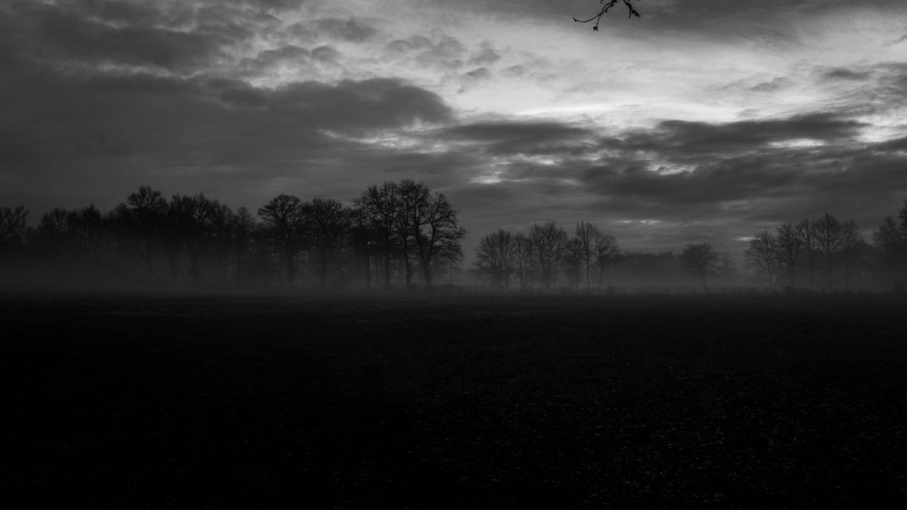 fog_trees_bw_157820_1280x720.jpg