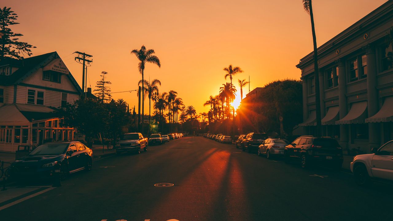 street_sunset_palm_trees_122106_1280x720.jpg
