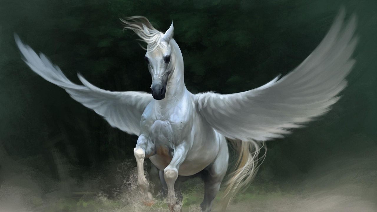 pegasus_horse_wings_63059_1280x720.jpg