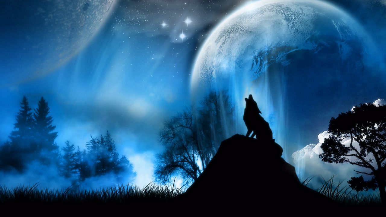 moonlight_wolf_fantasy_67603_1280x720.jpg