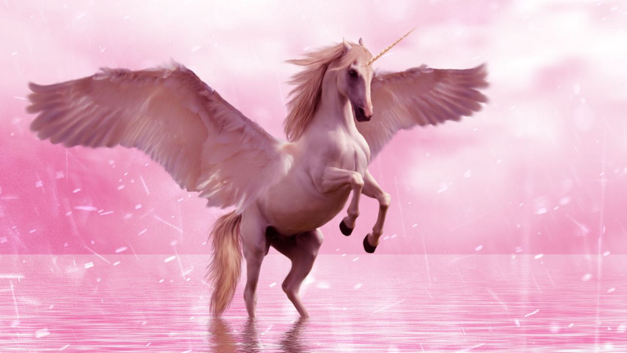 unicorn_wings_horse_125631_1280x720.jpg