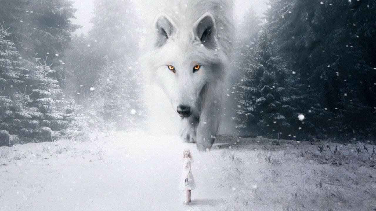 wolf_child_photoshop_134611_1280x720.jpg