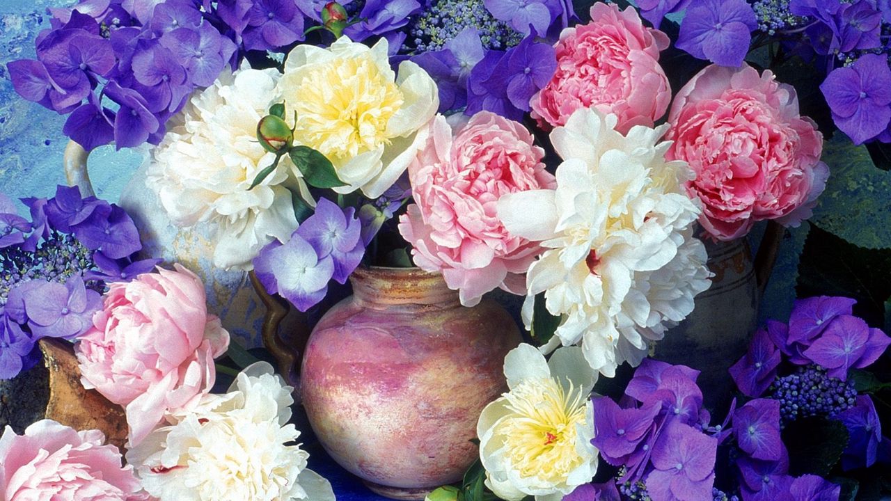 flowers_painting_jugs_flower_beauty_34870_1280x720.jpg