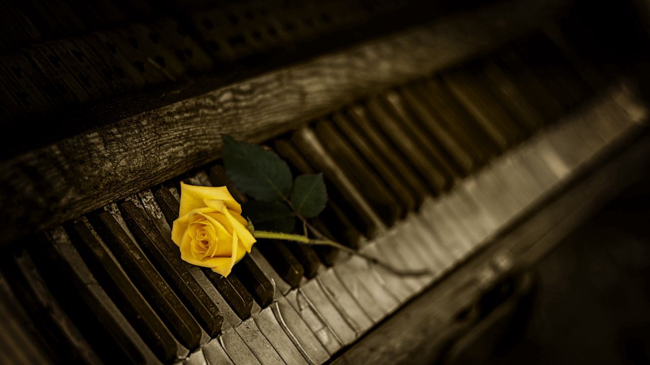piano_rose_keys_108849_1280x720.jpg