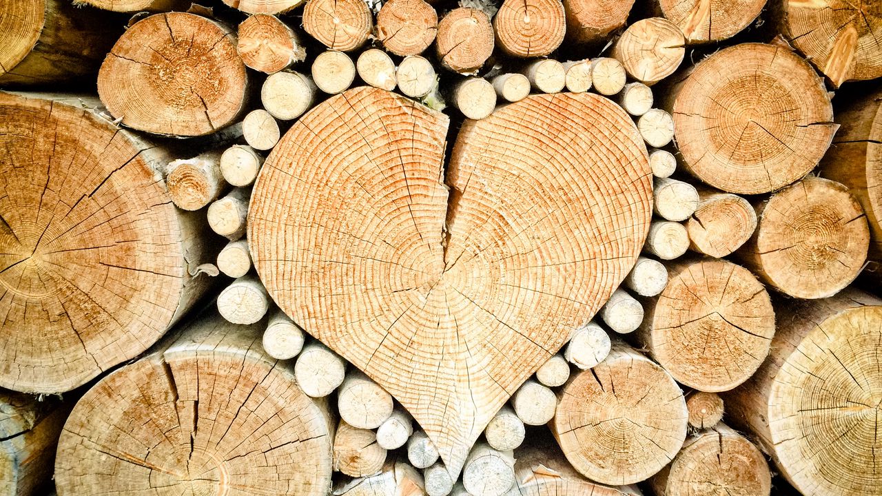 logs_heart_wood_110517_1280x720.jpg