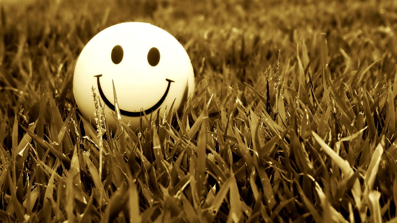 smile_grass_mood_54205_1280x720.jpg