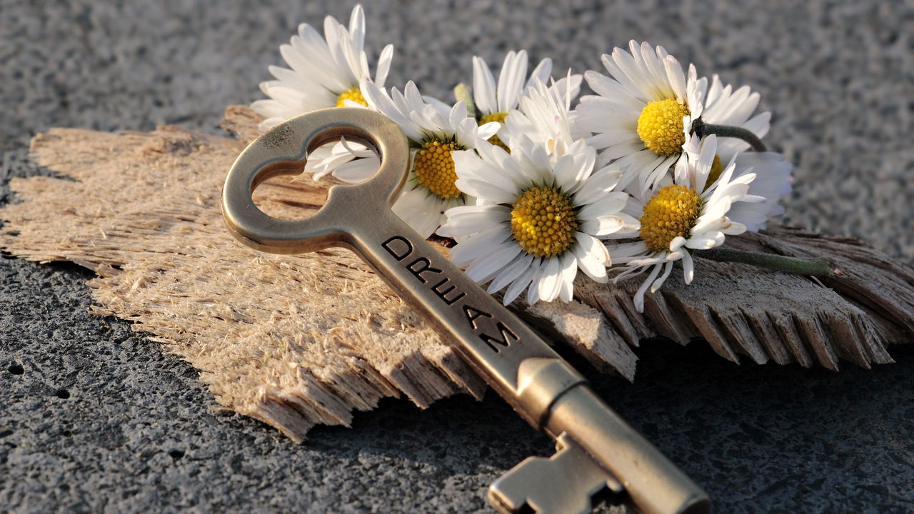 key_daisies_inscription_dream_119219_1280x720.jpg