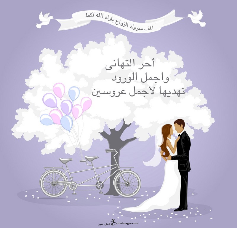 alf-mabrouk-marriage-%2B%252813%2529.jpg