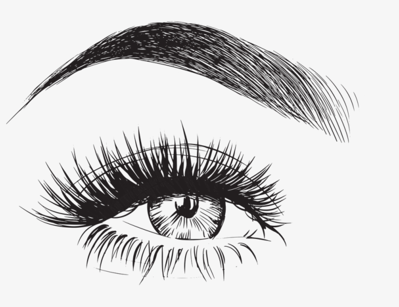 8770_eyebrow-vector-eyebrows-and-eyelashes-drawing.jpg