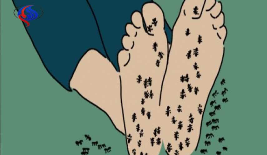 النمل يمشي على قدميه